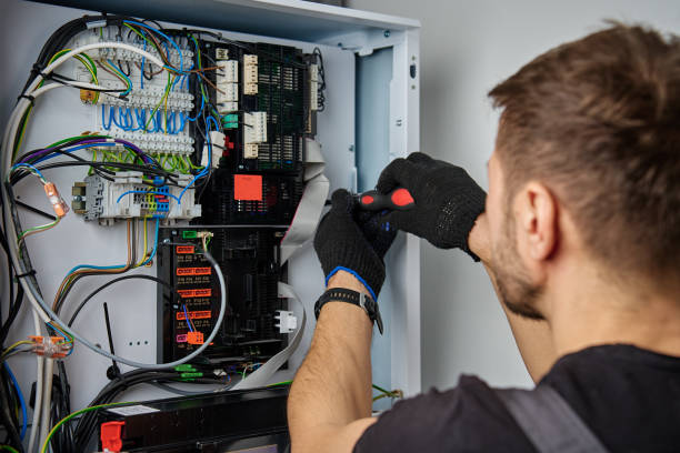 Licensed Electrical Panel Upgrade service in Lake Crystal, MN - No Joke electrician